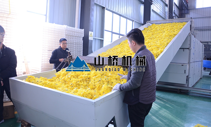 菊花烘干机5大特点值得关注！(图1)