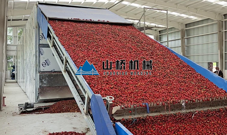大型网带式辣椒烘干机(图1) 大型网带式辣椒烘干机(图1)