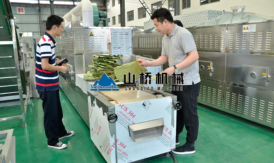 荷叶微波烘干机(图2) 荷叶微波烘干机(图2)