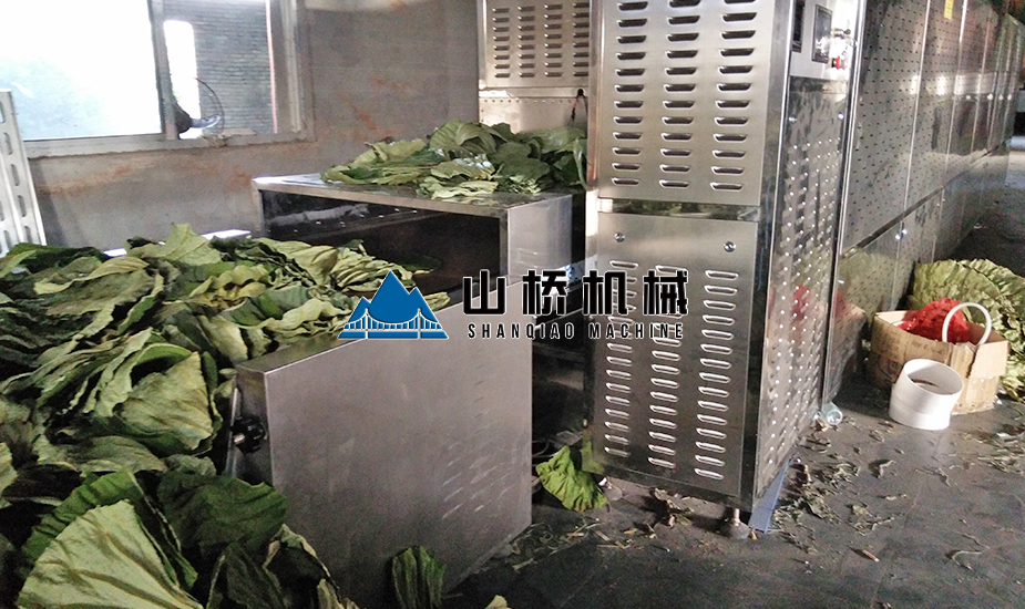 荷叶微波烘干机(图1) 荷叶微波烘干机(图1)