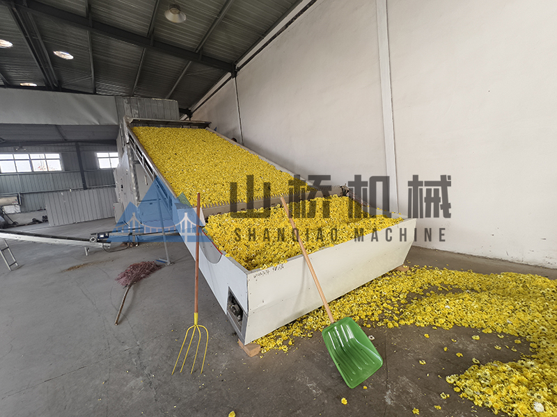 怎么选择菊花烘干设备?(图2)