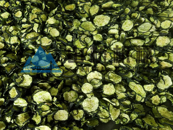 带式干燥机在脱水蔬菜中的应用(图1)
