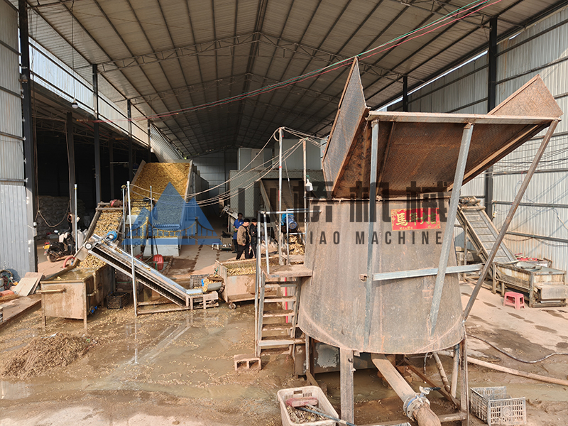 解锁姜片深加工新赛道！新一代智能烘干机赋能产业升级(图1)