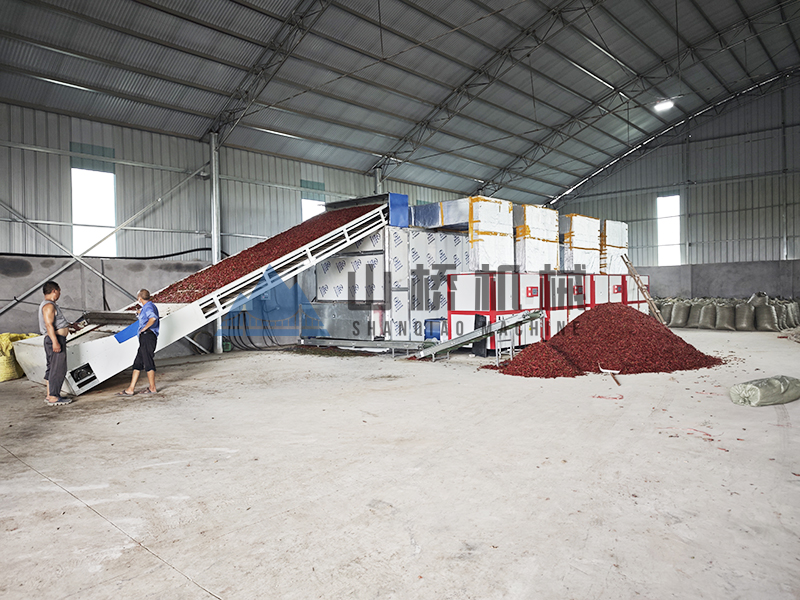 网带烘干机 vs 传统晾晒：谁更省时省力？(图1)