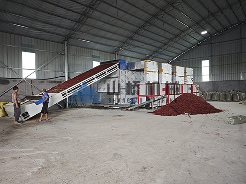 网带烘干机 vs 传统晾晒：谁更省时省力？(图1)