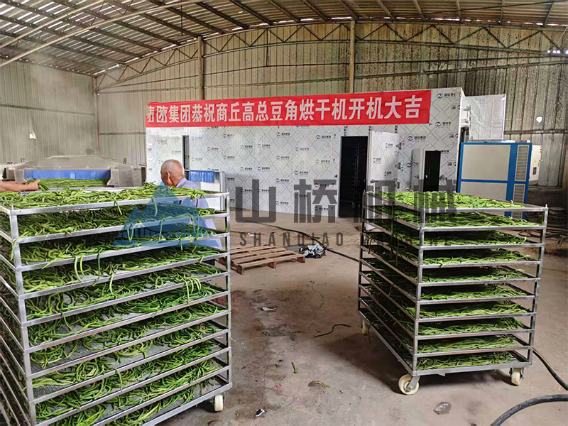 豆角（四季豆 / 长豆角）烘干房标准工艺(图1)