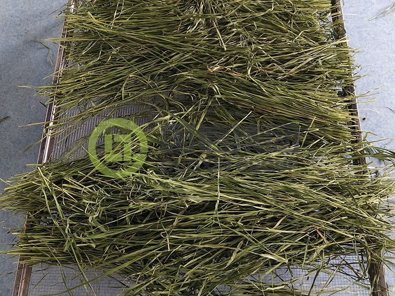 豆角（四季豆 / 长豆角）烘干房标准工艺(图2)