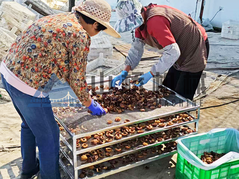 沙果烘干房热泵式核心优势(图2)